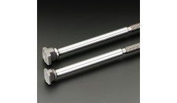 Hammerkopfspindeln Hammerkopfspindeln