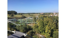 Hexenbesen Hexenbesen