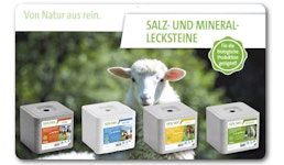 Salz & Minerallecksteine Salz & Minerallecksteine