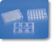 Multiplatten für Zellkulturen (TC)