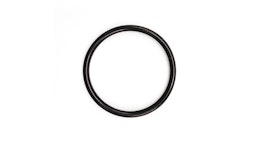 O-Ring Evolast O-Ring Evolast