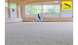Einbau Hallenreitboden - Reitplatzbau – Reitbodensysteme – Reitbodenbau Einbau Hallenreitboden - Reitplatzbau – Reitbodensysteme – Reitbodenbau