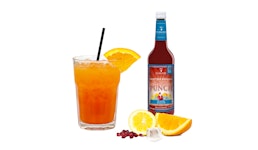 Planter's Punch Planter's Punch