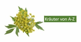 Kräuter A-Z