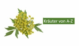 Kräuter A-Z Kräuter A-Z