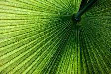 Umweltsimulation Umweltsimulation