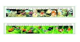 3D Lentikular Lineal