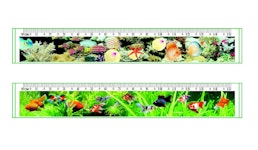 3D Lentikular Lineal 3D Lentikular Lineal