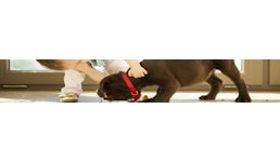 Animal Nutrition Animal Nutrition