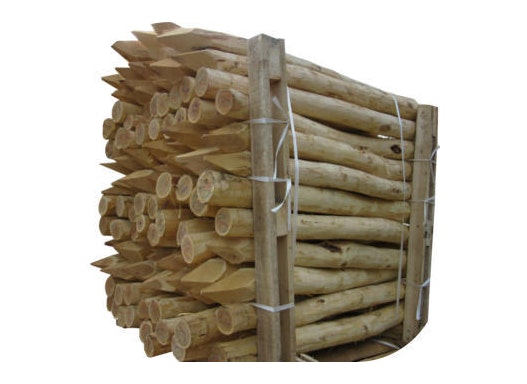 Zaunpfahl - Holzpfosten, wie gewachsen, entrindet aus Robinienholz