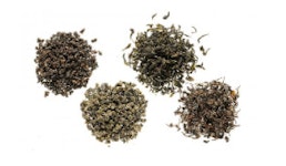 OOLONG OOLONG