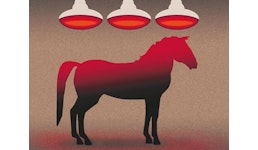 Pro Equus Pferde Solarium Pro Equus Pferde Solarium