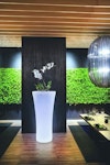 Pflanzkübel - LED beleuchteter Pflanzkübel Recife in italienischem Design Pflanzkübel - LED beleuchteter Pflanzkübel Recife in italienischem Design
