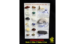 Mineralien und Fossilien Sammlung M15 Mineralien und Fossilien Sammlung M15
