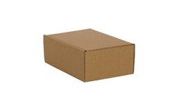 Maxibriefkarton Maxibriefkarton