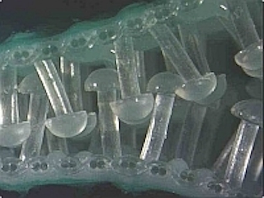 Gottlieb Binder GmbH & Co KG in Holzgerlingen auf wlw.de