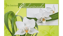 GK6319 Grüne Karte mit weissen Blüten GK6319 Grüne Karte mit weissen Blüten