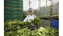 Lebensmittelindustrie, HACCP Lebensmittelindustrie, HACCP