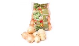 Frische Zwiebel (Bio) Frische Zwiebel (Bio)