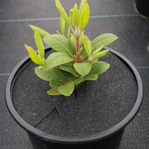 Abdeckscheibe 16,0cm ØWeCult® 160RS / Ktn. 1500 St. Abdeckscheibe 16,0cm ØWeCult® 160RS / Ktn. 1500 St.