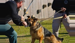 Hundestaffel Hundestaffel