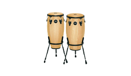 Drums & Percussion Drums & Percussion