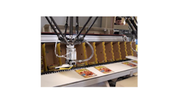 Verpacken von Beuteln Verpacken von Beuteln