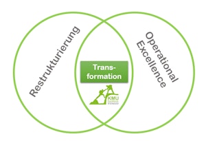 Paket: 5 Projekttage Unternehmensentwicklung / Transformation für KMU Paket: 5 Projekttage Unternehmensentwicklung / Transformation für KMU