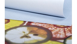 DIE ERDE SCHÜTZEN – PAPIER NUTZEN DIE ERDE SCHÜTZEN – PAPIER NUTZEN